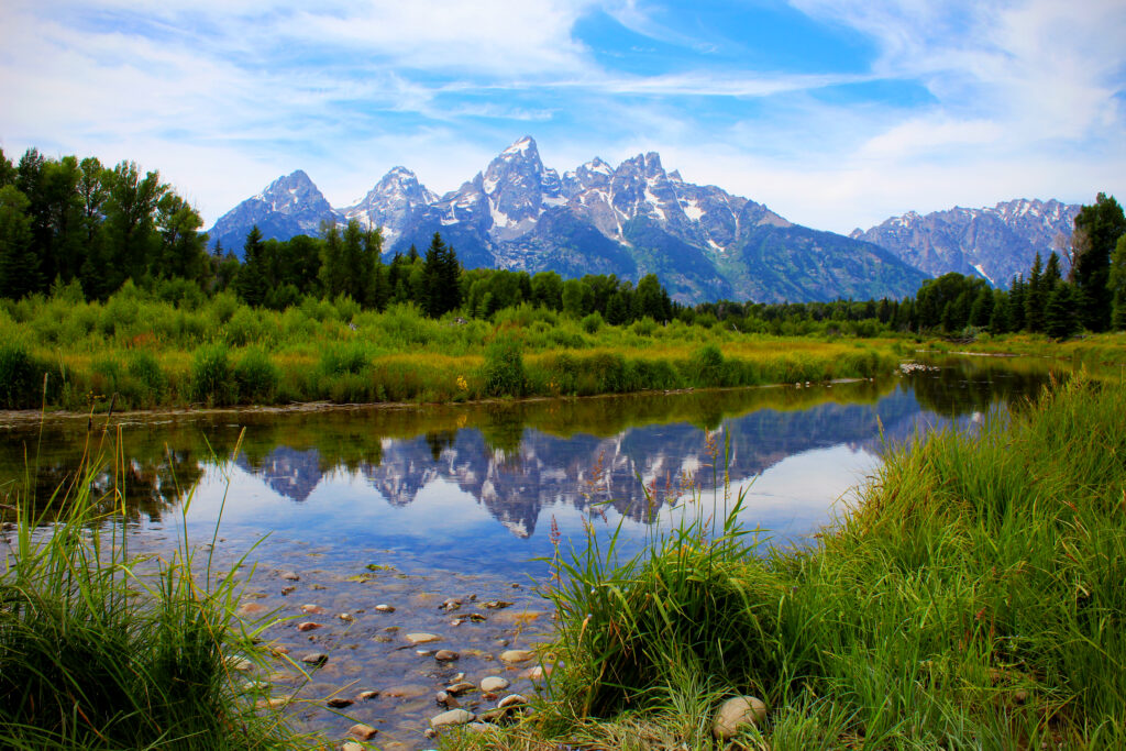 The Teton Range reflected in a calm river, with snow-capped peaks, green meadow grasses, and a bright blue sky.